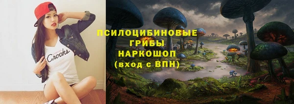 спиды Богородицк