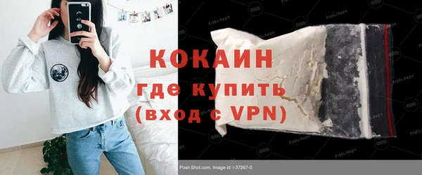 спиды Богородицк