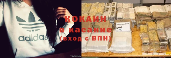 спиды Богородицк