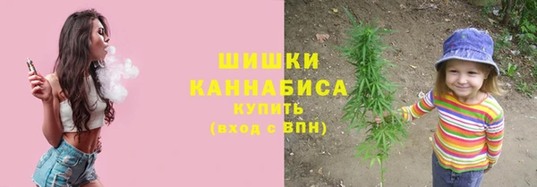 спиды Богородицк