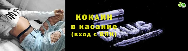 спиды Богородицк