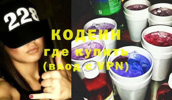 спиды Богородицк
