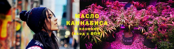 спиды Богородицк