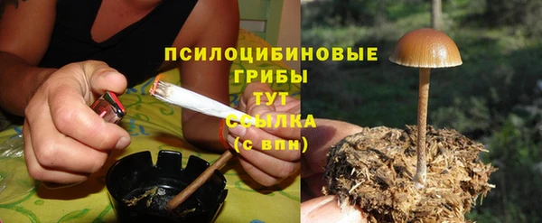 спиды Богородицк
